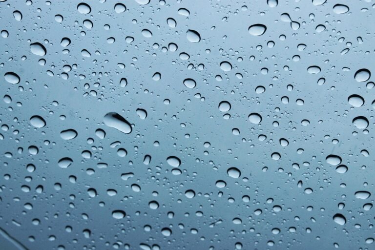 image of raindrops